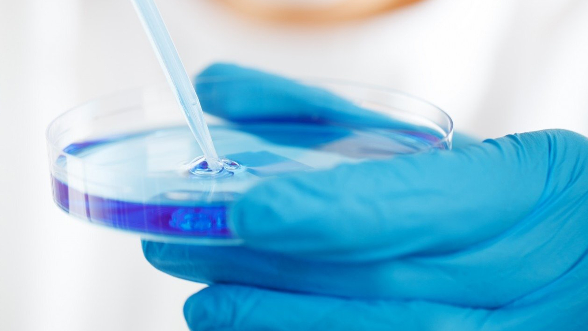 抚顺市清原助剂厂有限公司